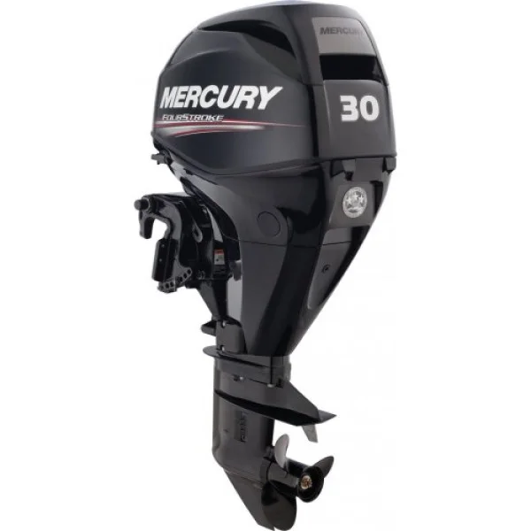 Мотор Mercury ME F 30 M GA EFI в Камышине